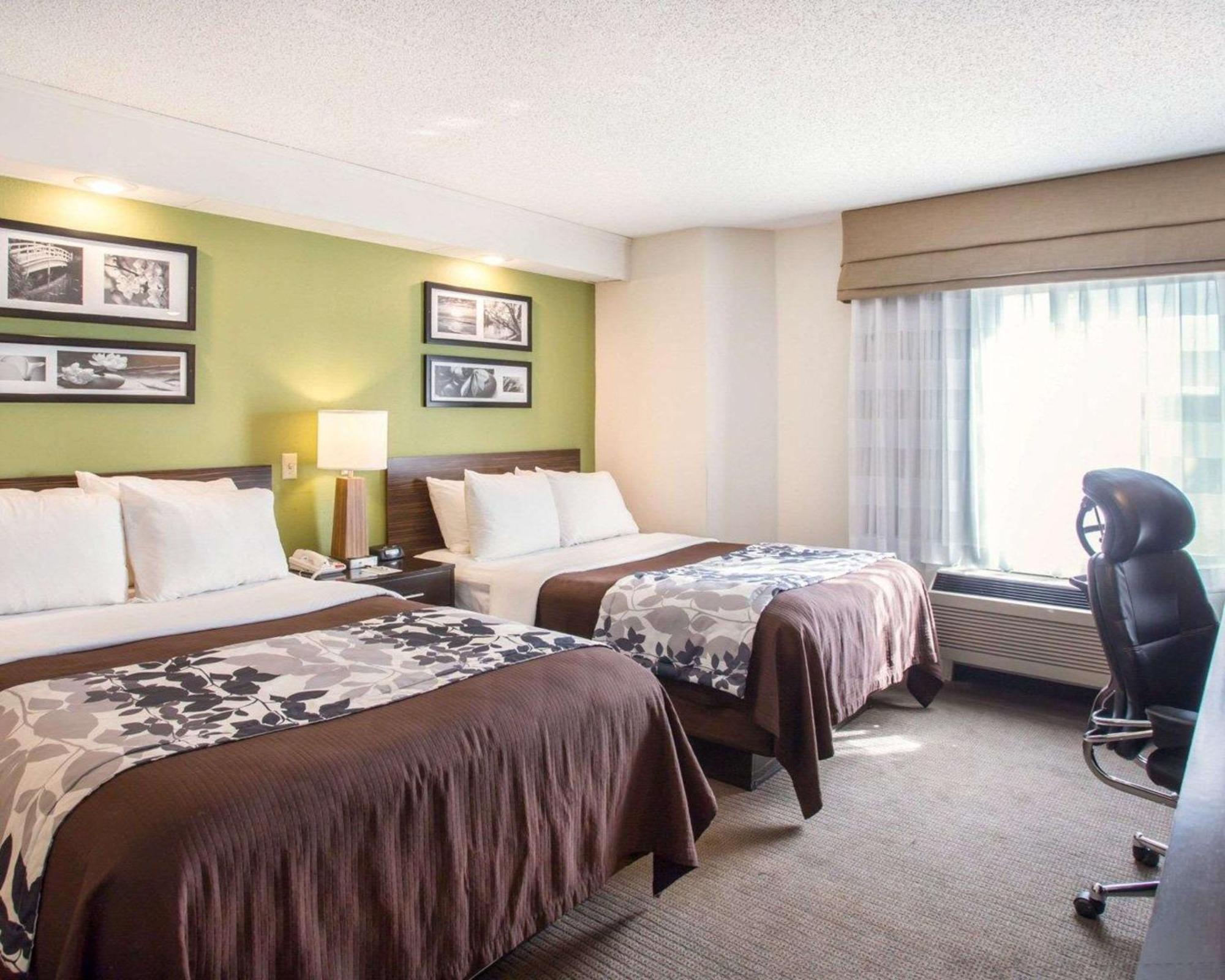 Double Room Two Double Beds