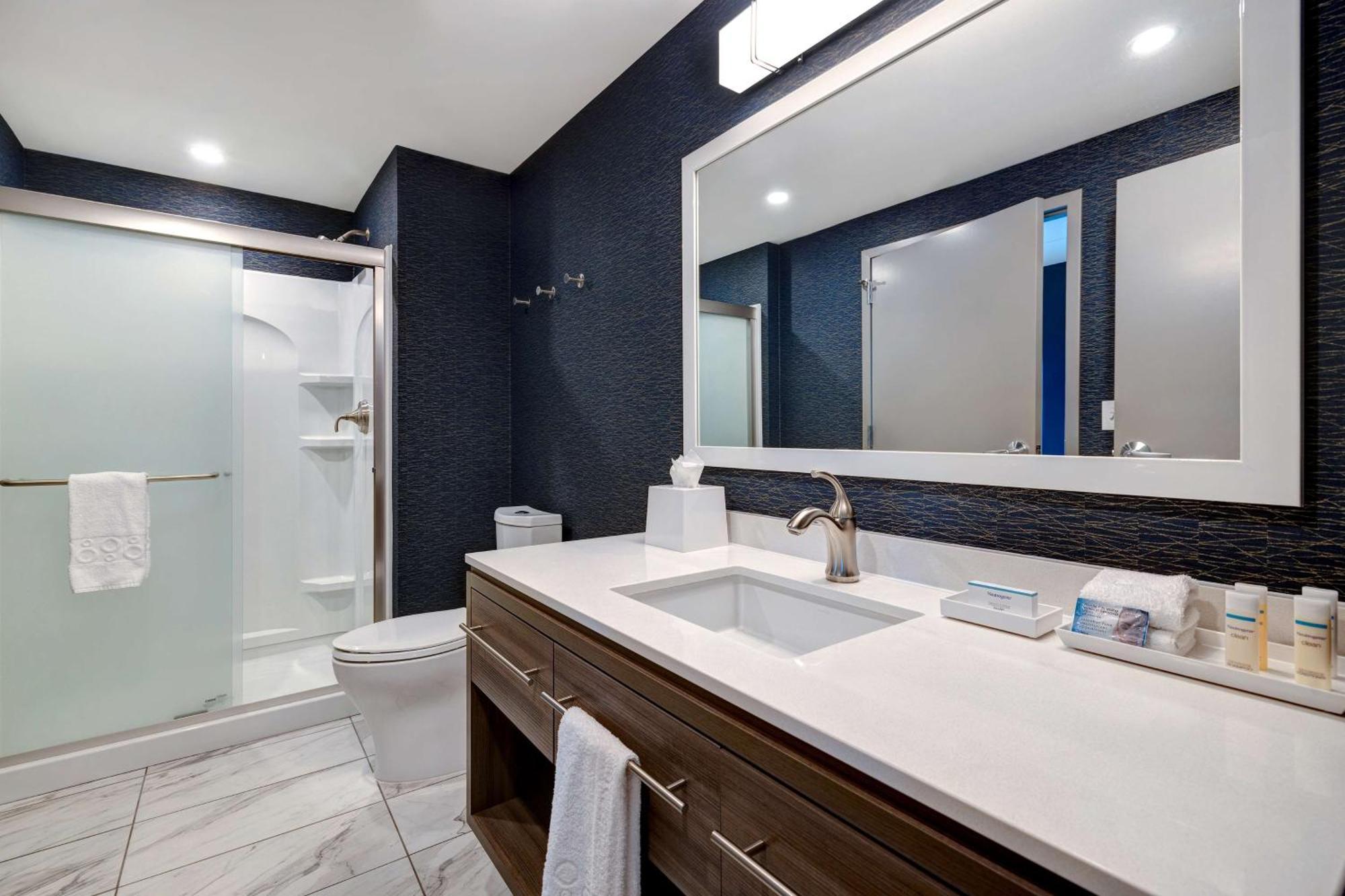 One-Bedroom King Suite Non-Smoking