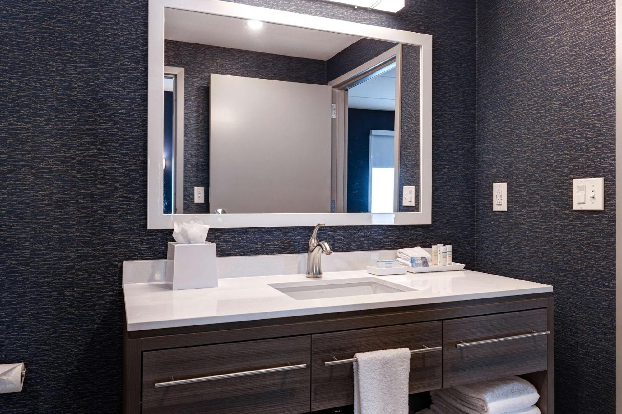 One-Bedroom King Suite Non-Smoking