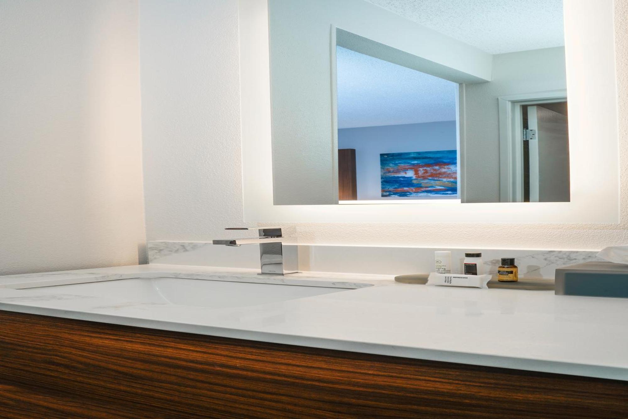 King Room Mobility Accessible Room Grab Bars Non-Smoking