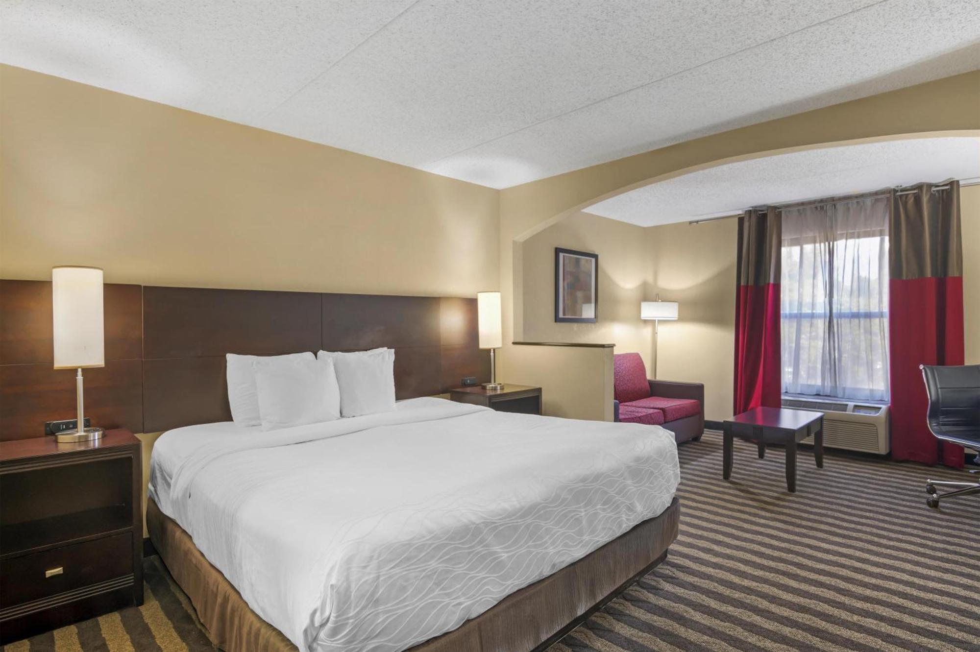 King Room Roll Shower Disability Access or Non-Smoking