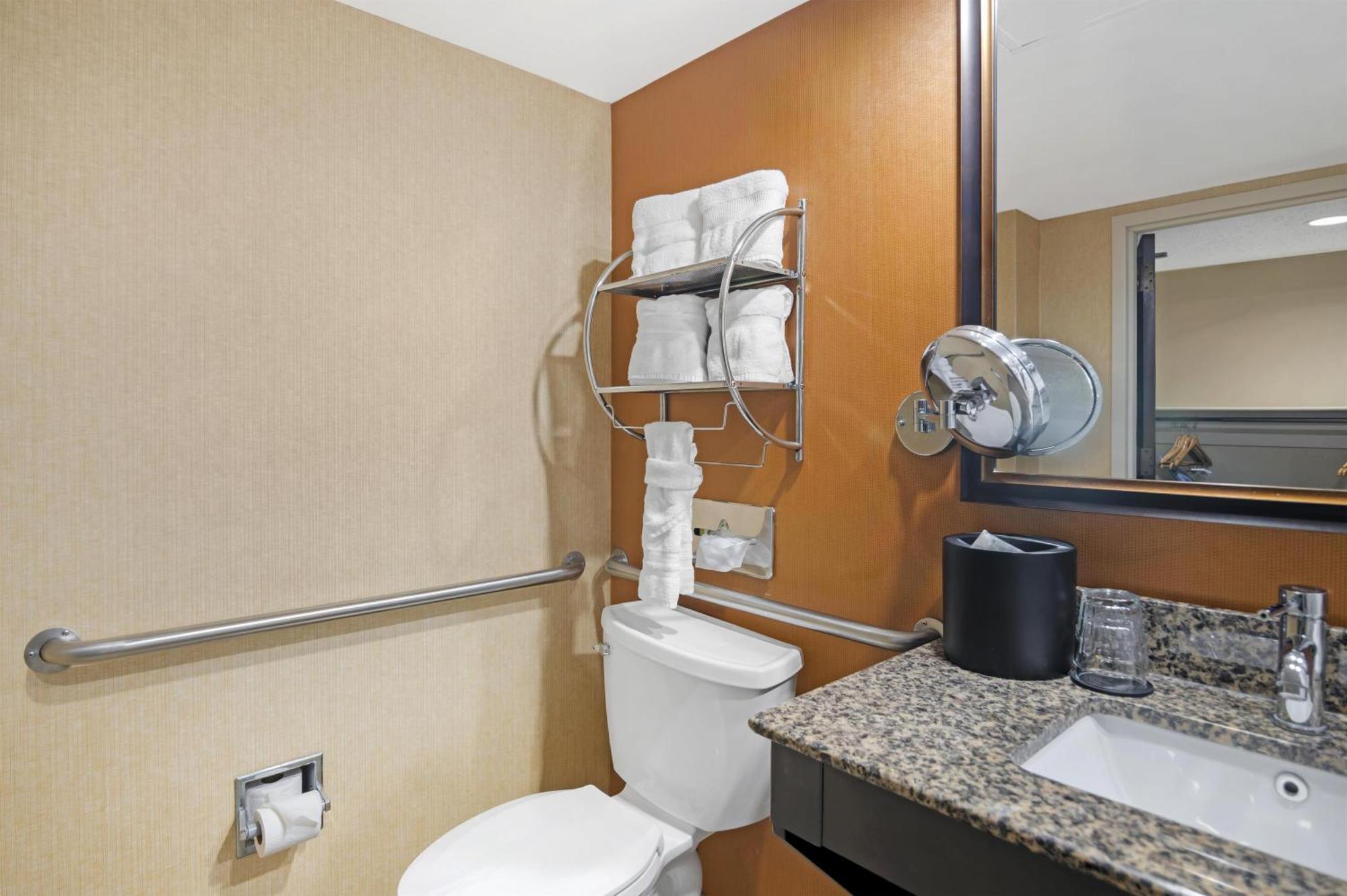 King Room Roll Shower Disability Access or Non-Smoking