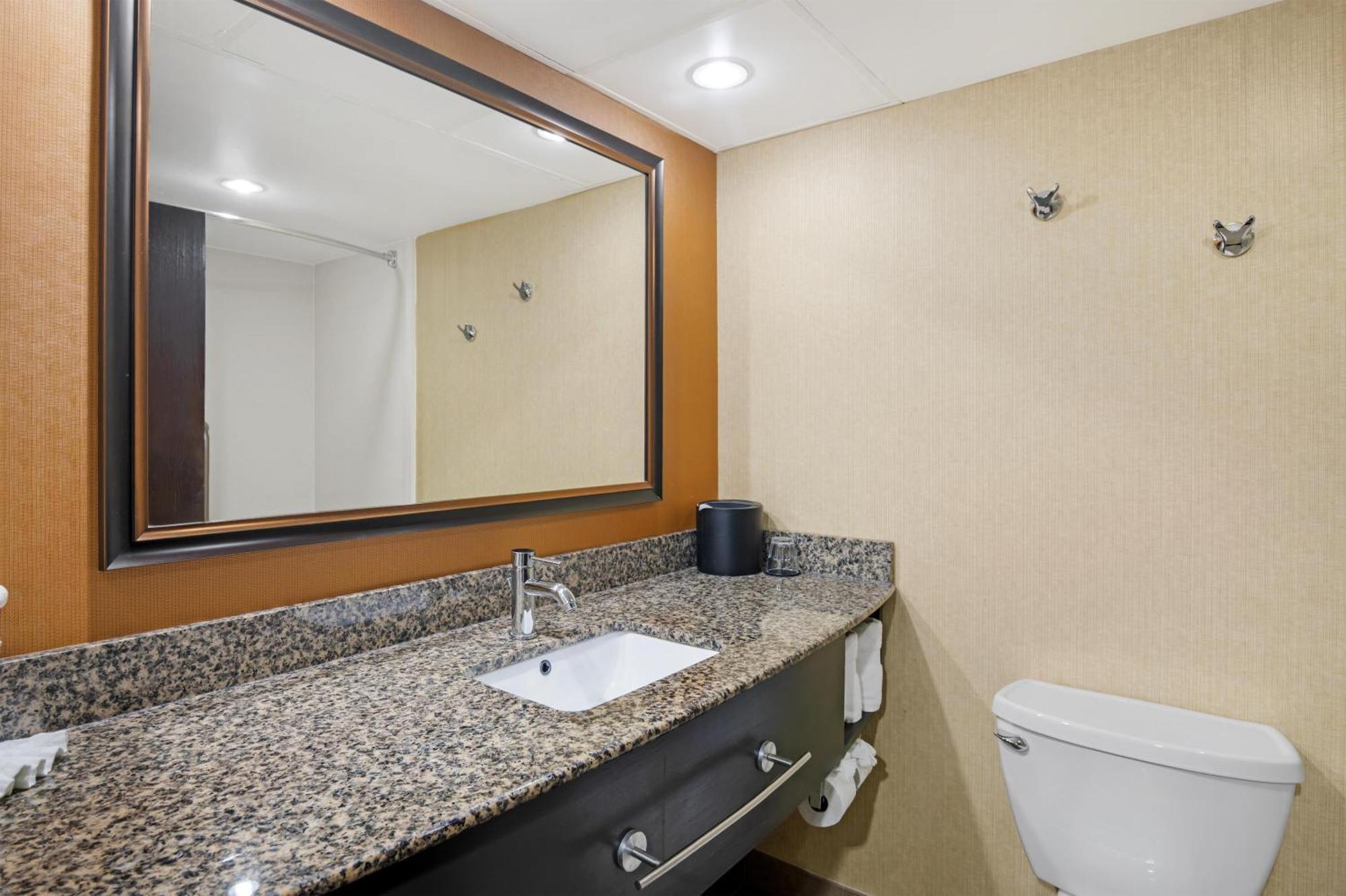 King Room Jetted Tub Non-Smoking
