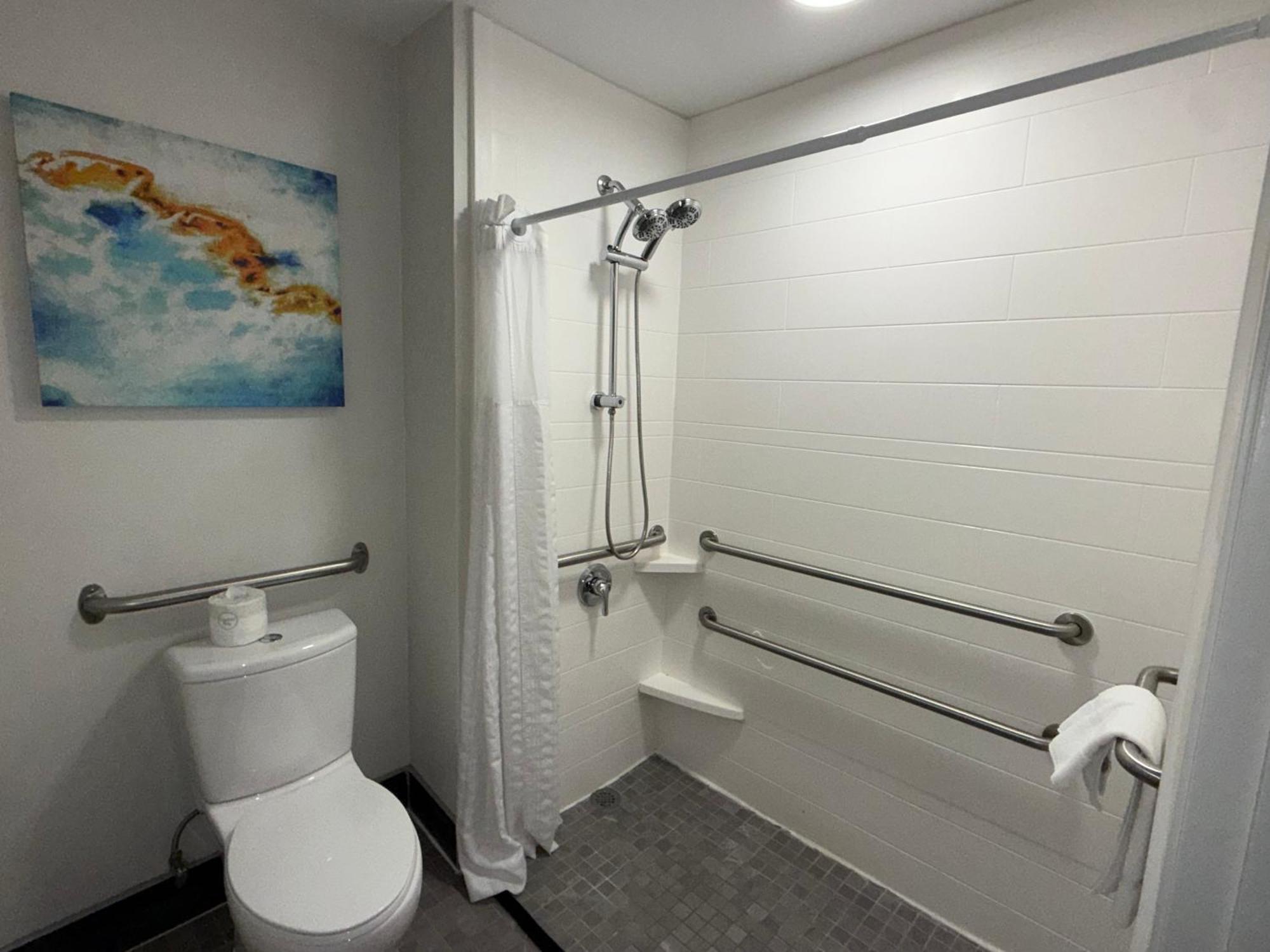 King Room Mobility Accessible Room Grab Bars Non-Smoking