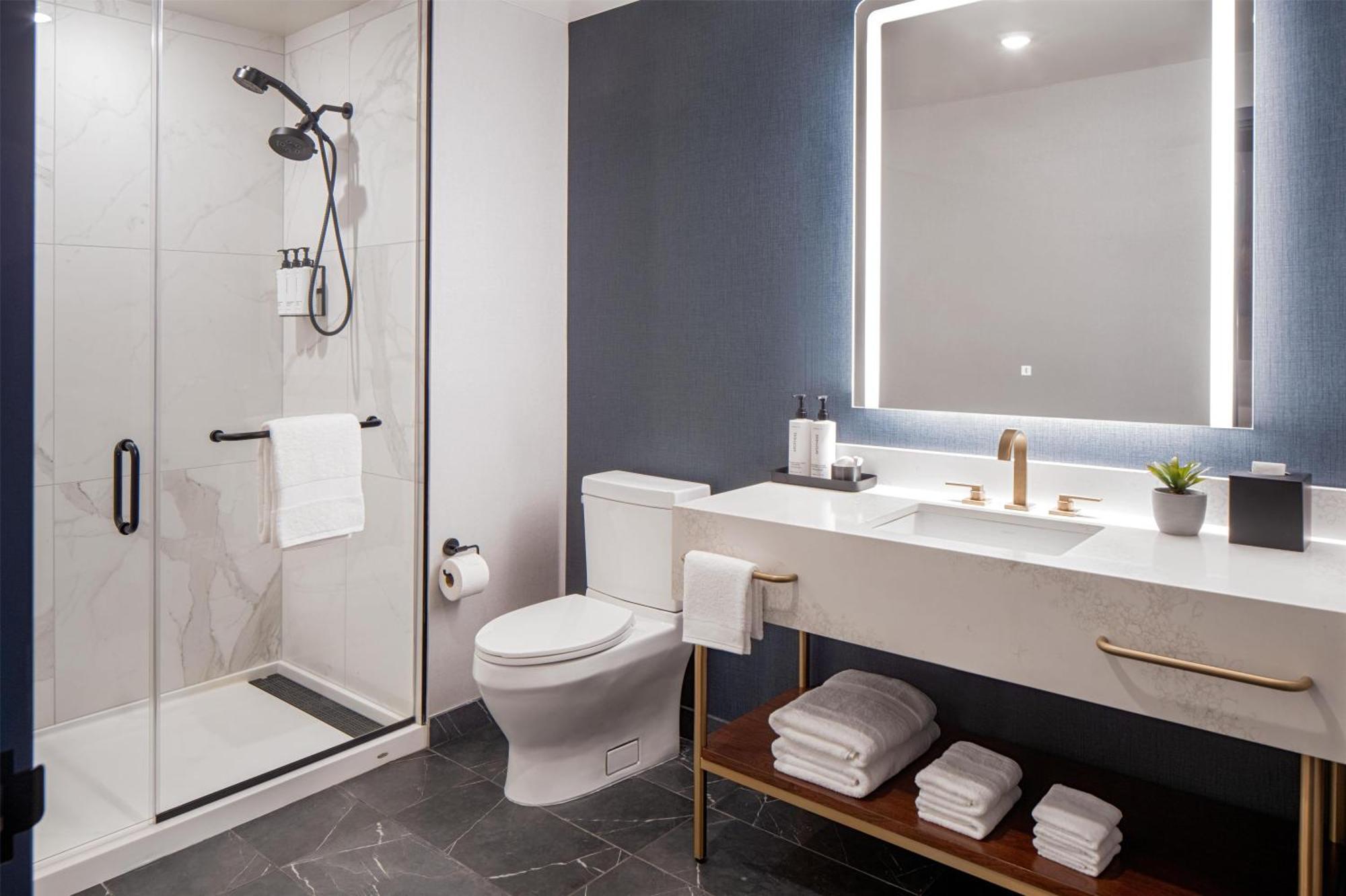 One-Bedroom King Suite