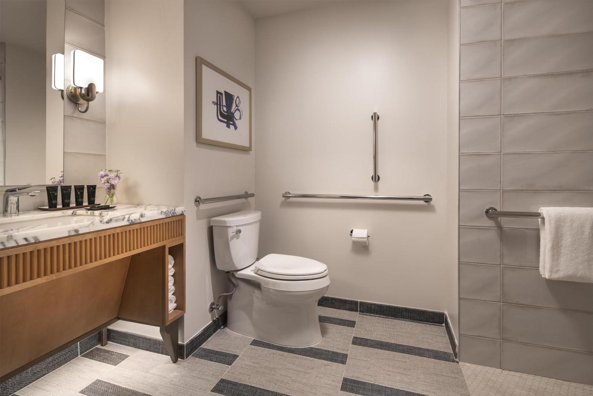 King Room Roll Shower Mobility Access