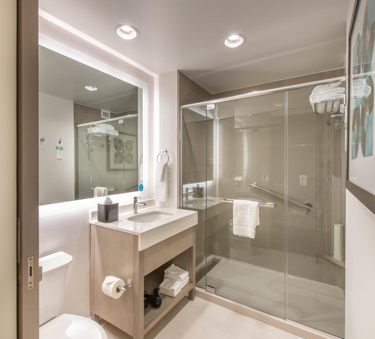 King Studio Suite with Kitchen and Sofa Bed