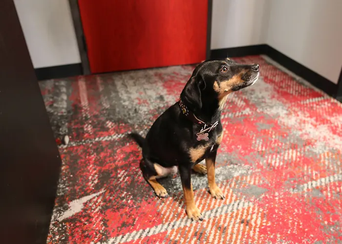 Hotels in Nashville TnBobby